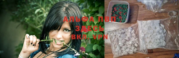 гашик Пересвет