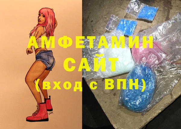 гашик Пересвет