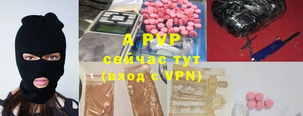 гашик Пересвет