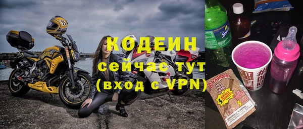 дурь Осташков