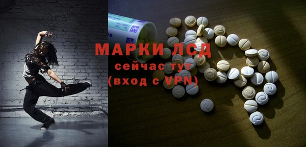 гашик Пересвет